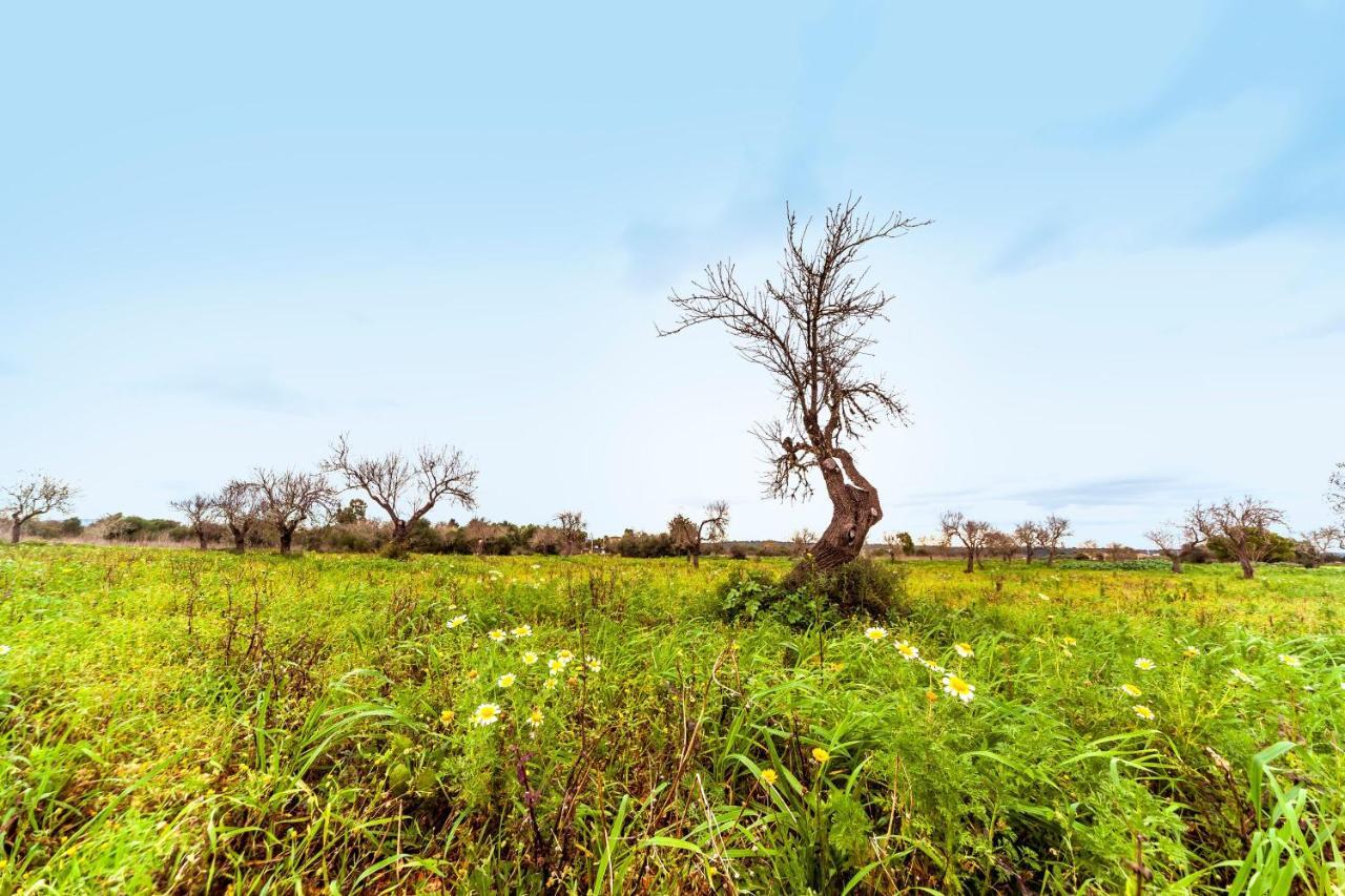 Finca Esplendor Campos  Εξωτερικό φωτογραφία